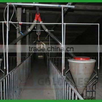 Pig Feeding System photo-5