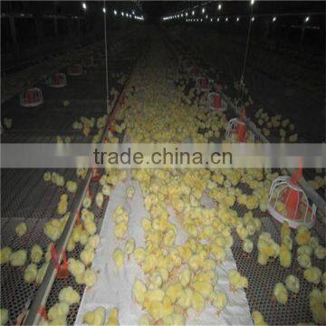 high quality chicken feeders and drinkers
