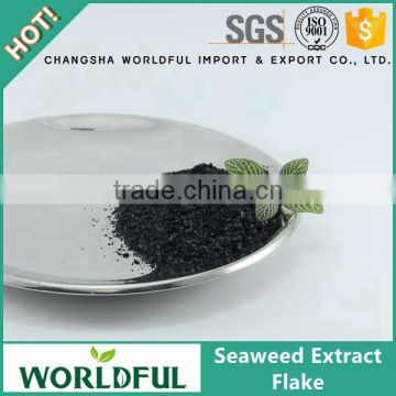 Worldful Manufacturer Seaweed Flake/Sargassum Seaweed/Seaweed Extract