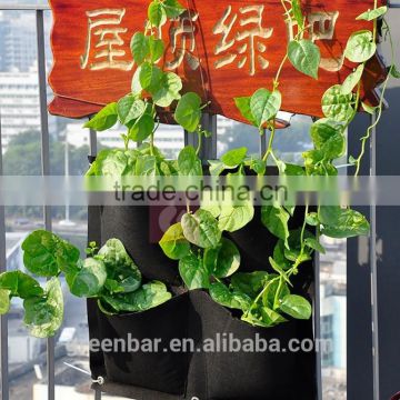 Hanging vertical garden green wall planter