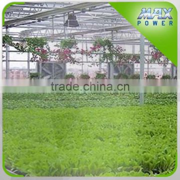 Industrial greenhouses Glass covering and steel Structure