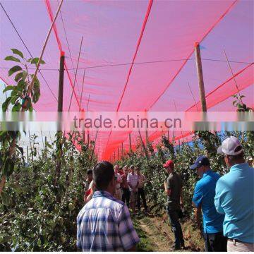 Quolity Cheapest HDPE Knitted White Apple Tree Anti Hail Net