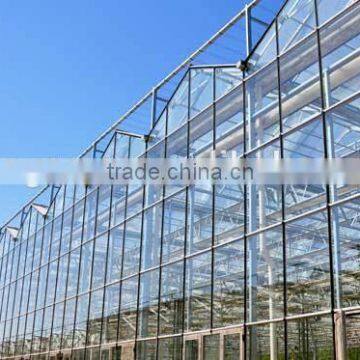 Glass Greenhouse-8 photo-5