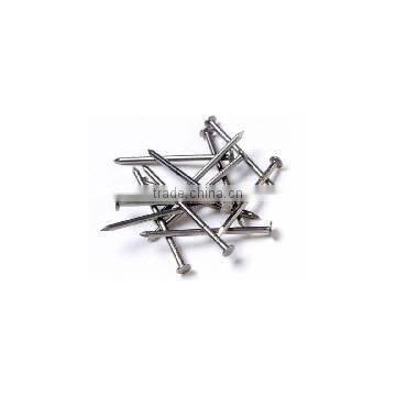 Iron Nail/iron Nail Supplies