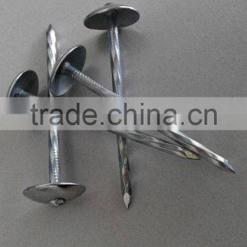 Galvanized Roofing Nails/umbrella Roofing Nails/roofing Nails With Washer photo-2