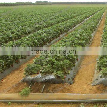 Drip Tape , Drip Irrigation Tape Inter Inlay , Drip Irrigation Belt With Continous Sheet Dripper photo-6