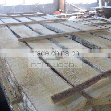 Unedged Birch AA photo-6