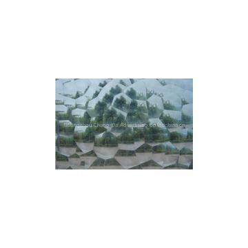 3D Cateyes/Circle/Water Cubic Cold Lamination Film photo-2