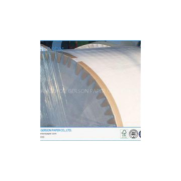 450GSM Coated Duplex Board with White Back Paper