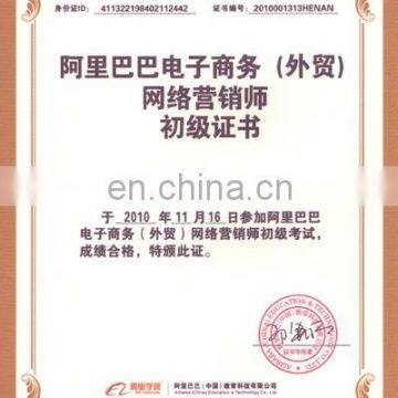 International Website Marketing Professor