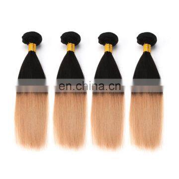Express Ali Factory Price Ombre European Virgin 100 Human Hair photo-4