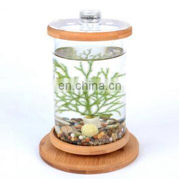 Desktop Eco Bottle Creative Office Tempered Glass Micro Landscape Tank Rotating Bedroom Fish Tank Fish Tank Mini Small photo-5