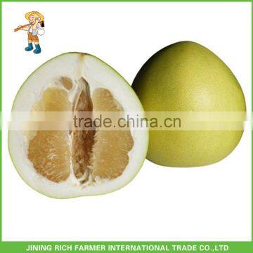 Factory Price Chinese Fresh Sweet Honey Pomelo For Export