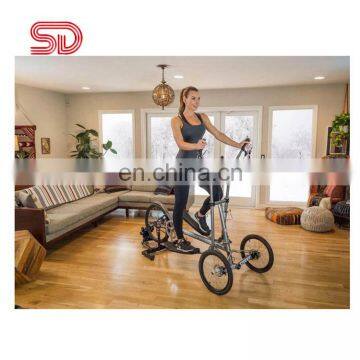Indoor and Outdoor Luxurious New Confidence Foot Exercise Machine Generator Commercial Cross Body Sculpture Elliptical Trainer photo-4