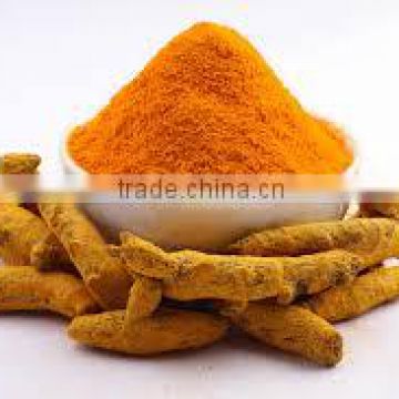 Good Quality Turmeric Powder exporters