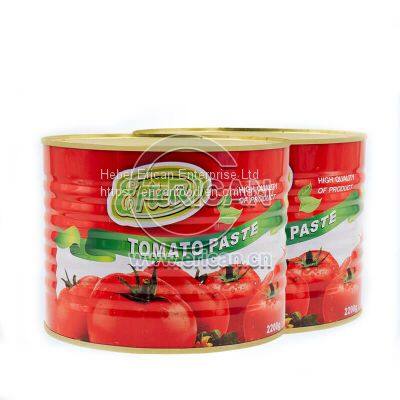 High Quality Easy Open Double Concentrated Tin Tomato Paste 28-30% Brix in Canned photo-3