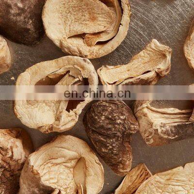 High Quality Dried Straw Mushroom/Wholesale Bulk Mushroom From Vietnam photo-4