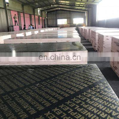 Hot Sale Plywood Treated Outdoor Cheap Plywood for Sale Marine Plex Plywood 18mm