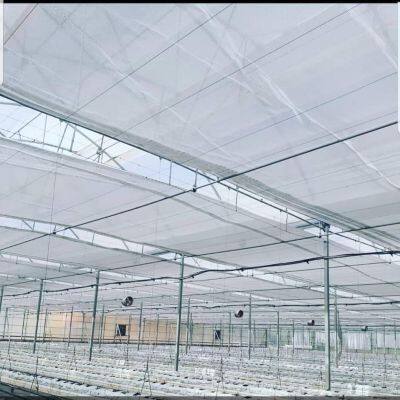 Manufacturers Greenhouse Energy Saving Screen photo-5