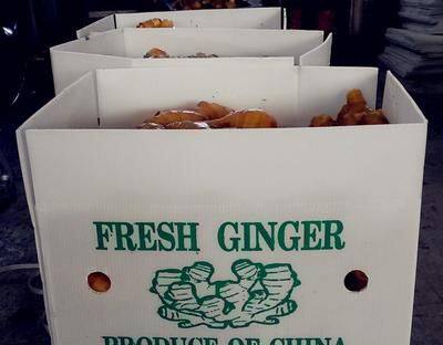Fresh Ginger photo-3