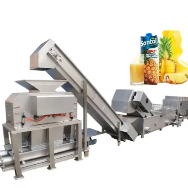 10T/H Turnkey Solution and Technical Support for Pineapple Processing Line With All Kinds of Package