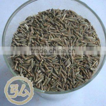 new crops, origin xinjiang China, cumin