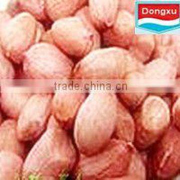 chinese peanut kernel