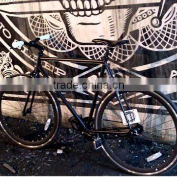 DOMLIN bicycle factory wholesale fixed gear bike