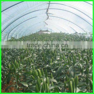 Anti Insect Net for Greenhouse Agriculture photo-4