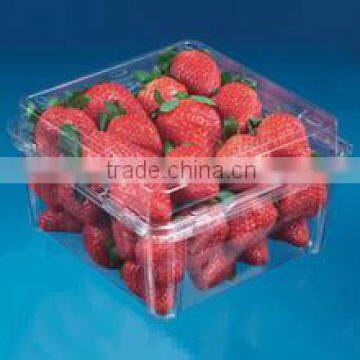 Plastic clear strawberry packaging box with lid