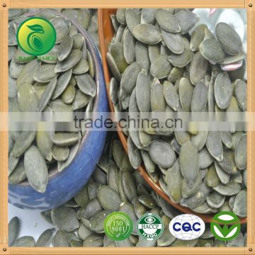 2015 GWS Pumpkin seeds Kernels grade A AA AAA with good price