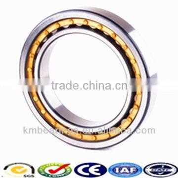 New bearing made in china! P4 precision stainless steel cylindrical roller bearing nup204e