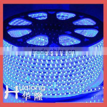 HL Blue Color Flexible SMD Led Strip Light3528 127V