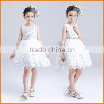 South Korea's 2016 Summer Eplosion Girls Dress Children Dress Tutu Princess Dress Factory Wholesale