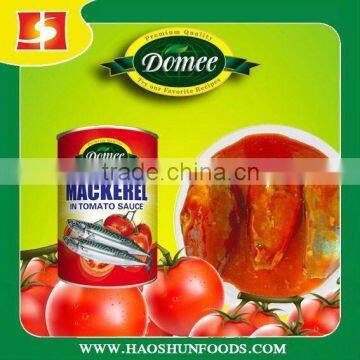 Canned sadine fish in tomato sauce