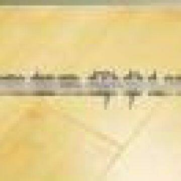 Environmen Natural Solid Bamboo Flooring