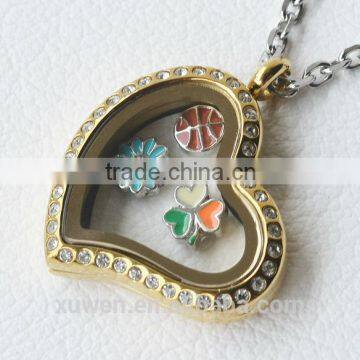 Living Memory Glass 316l Stainless Steel Heart Locket photo-1