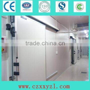 Stainless steel cold room automatic sliding door with 100mm pu panel