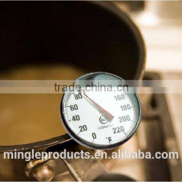 Instant Read Thermometer_T816CG