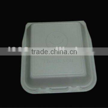 Disposable Foam Food Container