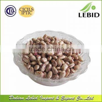 New Crop Dried Style Light Speckled Kidney Beans Round Shape