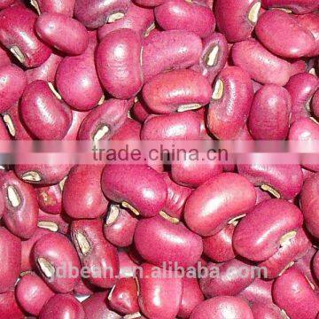 Crop 2014 Red cowpea beans