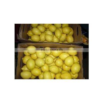 Fresh Lemon