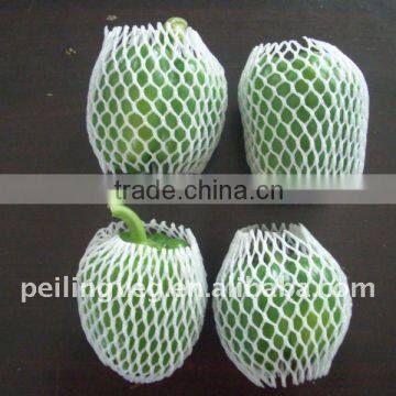 2011 Good quality fresh color pepper