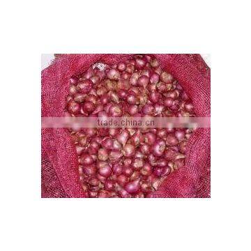 Indian small onion