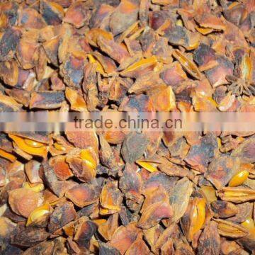 STAR ANISE GOOD PRICE BEST QUALITY