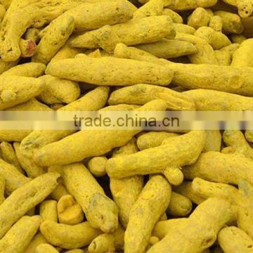 Indian Exporters of Premium quality Dried Turmeric