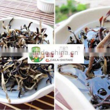 Supply wholesale strips black fungus