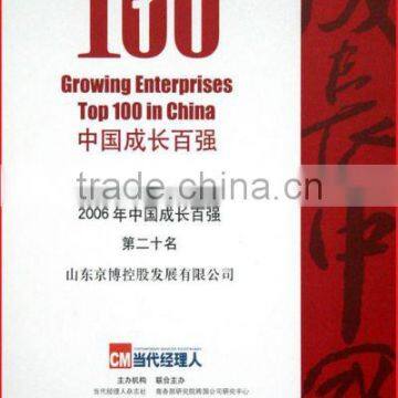 Growing Enterprises Top 100 in China