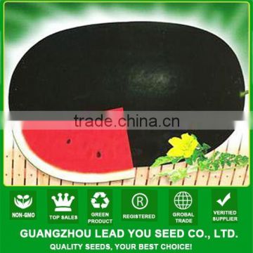 NW18 Heipy F1 balck oval high yield watermelon seeds types of seeds in watermelon